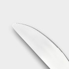 Набор ножей столовых из нержавеющей стали Magistro «Джентри», длина 22,5 см, 6 шт - Фото 3