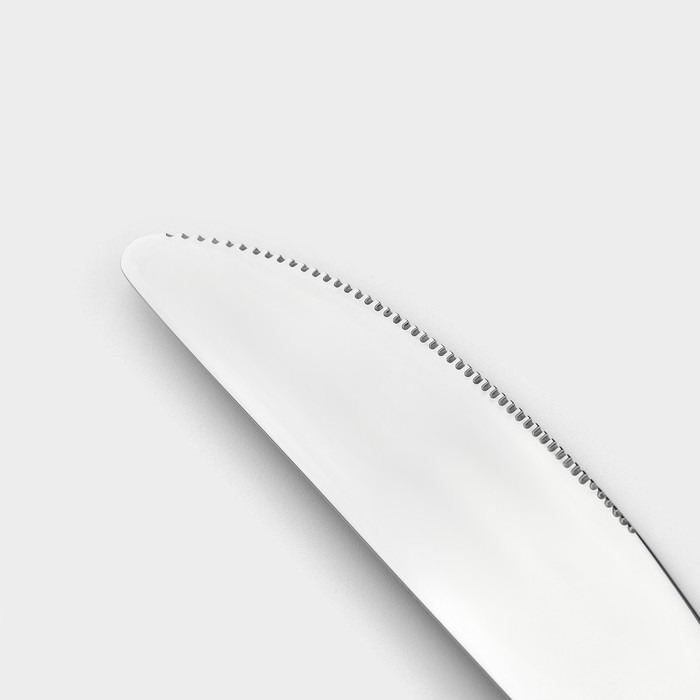 Набор ножей столовых из нержавеющей стали Magistro «Джентри», длина 22,5 см, 6 шт - фото 1908149915