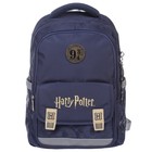 Рюкзак школьный 39 х 29 х 14 см, эргономичная спинка, Hatber "Гарри Поттер" синий NRk_16132 - фото 109819627