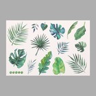 Наклейка пластик интерьерная цветная "Тропические листья" 40х60 см - фото 110068444