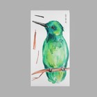 Наклейка пластик интерьерная цветная "Тропическая птичка" 30х60 см - фото 321511560
