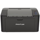 Принтер лазерный ч/б Pantum P2207, 1200x1200 dpi, 20 стр/мин, А4, черный - фото 300110433