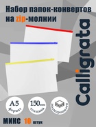 Набор папок-конвертов на ZIP-молнии A5, 150 мкм, 10 штук, прозрачные, МИКС - Фото 1