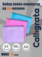 Набор папок-конверт на ZIP-молнии А5 Calligrata «Пастель», 150 мкм, 12 штук, полупрозрачные, МИКС - Фото 1