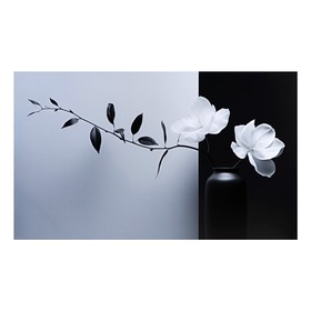 Картина на холсте "Белый цветок" 60*100 см