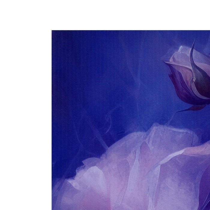 Картина на холсте "Нежные розы" 60*100 см