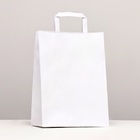 Пакет крафт без печати, белый, плоская ручка 22×12×25 см - Фото 1