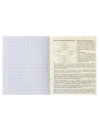 Предметная тетрадь по биологии Calligrata «Полоса», 48 листов, в клетку, со справочным материалом, обложка из мелованного картона - фото 120356623