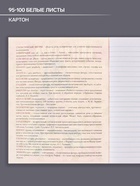 Предметная тетрадь по литературе Calligrata TOP «Журнал», 48 листов, в линейку, со справочным материалом, картонная обложка - Фото 2