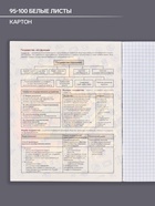 Предметная тетрадь по обществознанию Calligrata TOP «Кеды», 48 листов, в клетку, со справочным материалом, картонная обложка - Фото 2