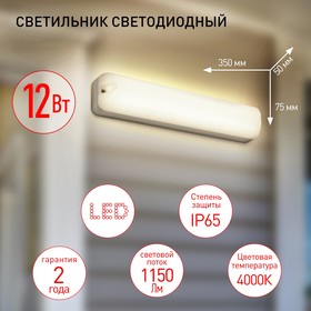 Светильник ЖКХ светодиодный Эра SPB-1, 350х75х50 мм, IP65, Led, 12Вт, 1080Лм, 4000К, цвет белый