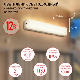 Светильник ЖКХ светодиодный Эра SPB-1, 350х75х50 мм, IP65, Led, 12Вт, 1080Лм, 4000К, цвет белый