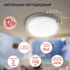 Светильник ЖКХ светодиодный Эра SPB-2, 155х155х52 мм, IP65, Led, 12Вт, 1140Лм, 4000К, цвет белый - Фото 7