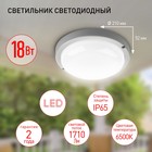 Светильник ЖКХ светодиодный Эра SPB-2, 210х210х52 мм, IP65, Led, 18Вт, 1710Лм, 6500К, цвет белый - Фото 8