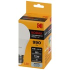 Лампа светодиодная Kodak «Груша», 11 Вт, E27, 990 Лм, 4000К, свечение белое - Фото 3