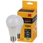 Лампа светодиодная Kodak «Груша», 15 Вт, E27, 1 350 Лм, 3000К, свечение тёплое белое - фото 4324153