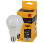 Лампа светодиодная Kodak «Груша», 15 Вт, E27, 1 350 Лм, 4000К, свечение белое - фото 4324158