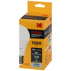 Лампа светодиодная Kodak «Груша», 15 Вт, E27, 1 350 Лм, 4000К, свечение белое - Фото 3