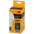 Лампа светодиодная Kodak «Груша», 15 Вт, E27, 1 350 Лм, 6500К, свечение холодное белое - Фото 3
