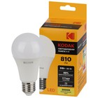 Лампа светодиодная Kodak «Груша», 9 Вт, E27, 810 Лм, 3000К, свечение тёплое белое - фото 4324168