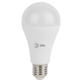 Лампа светодиодная Эра Standard «Груша», 19 Вт, E27, 1520 Лм, 2700К, свечение тёплое белое