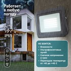 Прожектор светодиодный уличный Эра PRO LPR-061-0-65K-050 50Вт, 6500К 4600Лм, IP65 - Фото 9