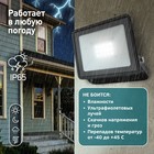 Прожектор светодиодный уличный Эра LPR-023-0-65K-020 20Вт, 6500K, 1600Лм, IP65 - Фото 8