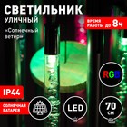 Светильник садовый Эра на солнечной батарее «Солнечный ветер» LED, IP44 10490062 - фото 12529054