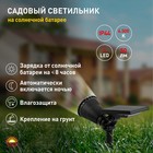 Светильник садовый Эра на солнечной батарее LED, IP54, чёрный - Фото 7