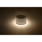 Светодиодная лента Эра, 5 м, IP20, SMD2835, 120 LED/м, 9,6 Вт/м, 12 В, свечение тёплое белое - Фото 2