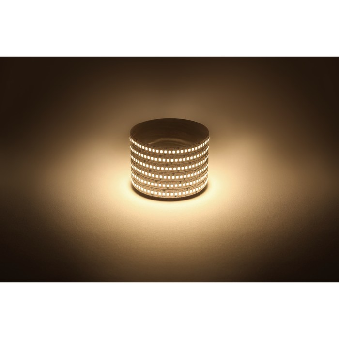 Светодиодная лента Эра, 5 м, IP20, SMD2835, 240 LED/м, 19,2 Вт/м, 12 В, свечение тёплое белое