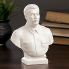 Бюст Сталин большой белый 7х12х16см - фото 8404351