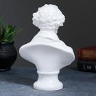 Бюст «Пушкин», фигурка гипс, большой белый, 15×21×9 см - Фото 3