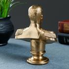 Бюст «Николай II», фигурка гипс под бронзу, 6×14×6 см - Фото 4