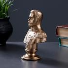 Бюст «Николай II», фигурка гипс под бронзу, 6×14×6 см - Фото 6