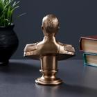 Бюст «Николай II», фигурка гипс под бронзу, 6×14×6 см - Фото 7