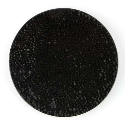 Тарелка плоская Porland Black Moss, d=17 см