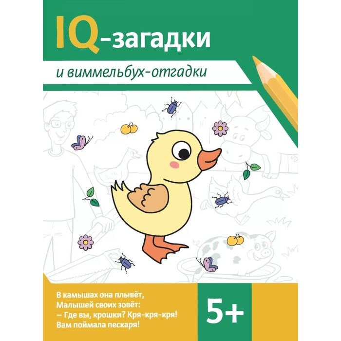 IQ-загадки и виммельбух-отгадки. 5+. 2-е издание. Сон С.Л., Агошкова Н.С. - Фото 1
