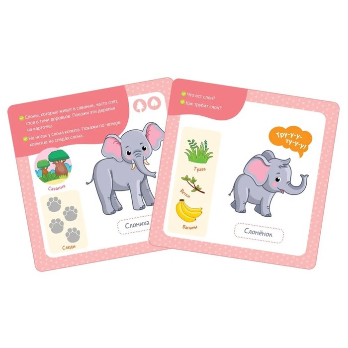 Многоразовые водные карточки «Мамы и малыши» 10445803