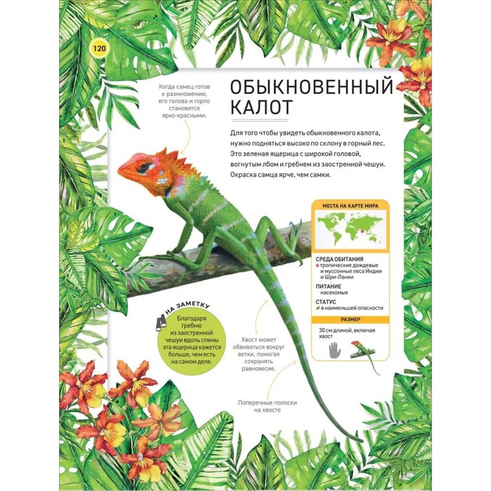 Энциклопедия «Удивительные животные» 10445806