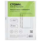 Файл-вкладыш А4 35мкм СТАММ, вертикальный, матовая, 100 штук 10477941 - фото 16348565