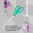 Ножницы ErichKrause Unity Pastel Bloom, 16 см, лезвия из нержавеющей стали, двойная заточка, ударопрочный пластик, блистер, МИКС 10474301 - фото 14049717