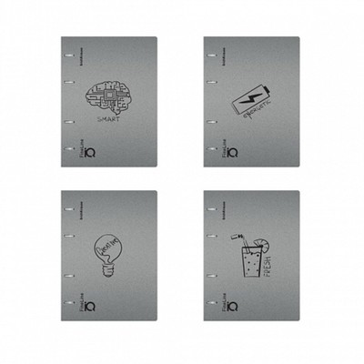 Тетрадь на кольцах А5 100 листов клетка ErichKrause IQ FineLine Life Style пластиковая обложка серебряная, блок офсет 80 г/м², белизна 100% микс