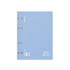 Тетрадь на кольцах А5 100 листов клетка ErichKrause IQ FineLine Symbol пластиковая обложка голубой, блок офсет 80 г/м², белизна 100% микс - фото 9665360