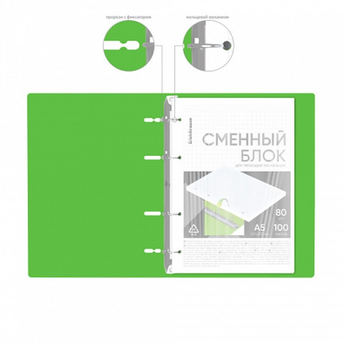 Тетрадь на кольцах А5 100 листов клетка ErichKrause IQ FineLine Motion пластиковая обложка зеленая, блок офсет 80 г/м², белизна 100% микс