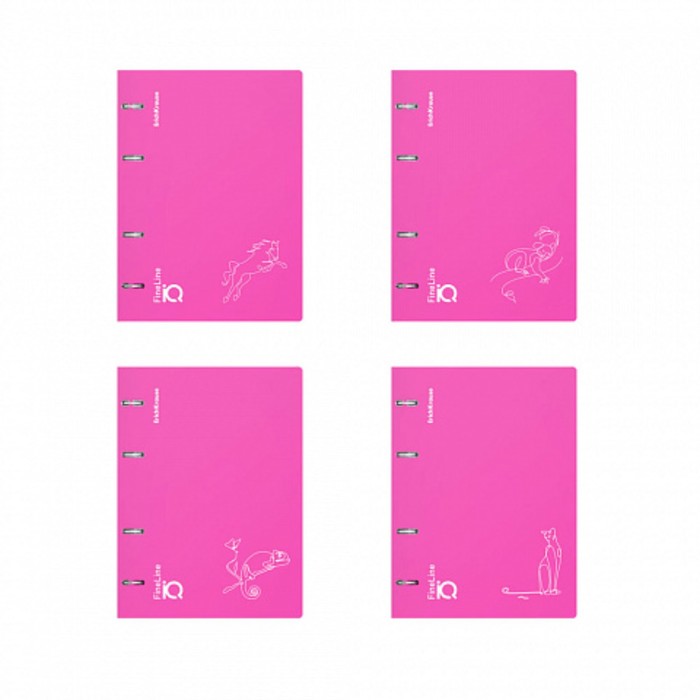 Тетрадь на кольцах А5 100 листов клетка ErichKrause IQ FineLine Silhouette пластиковая обложка розовый, блок офсет 80 г/м², белизна 100% микс - Фото 1