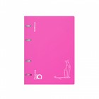 Тетрадь на кольцах А5 100 листов клетка ErichKrause IQ FineLine Silhouette пластиковая обложка розовый, блок офсет 80 г/м², белизна 100% микс - фото 9665373