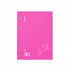 Тетрадь на кольцах А5 100 листов клетка ErichKrause IQ FineLine Silhouette пластиковая обложка розовый, блок офсет 80 г/м², белизна 100% микс - фото 9665374