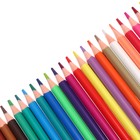 Карандаши 24 цвета ErichKrause "Color Friends", пластик, трехгранные, европодвес - фото 9899127