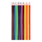 Карандаши 12 цветов ErichKrause Safari, дерево, трехгранные, с европодвесом - фото 24076339